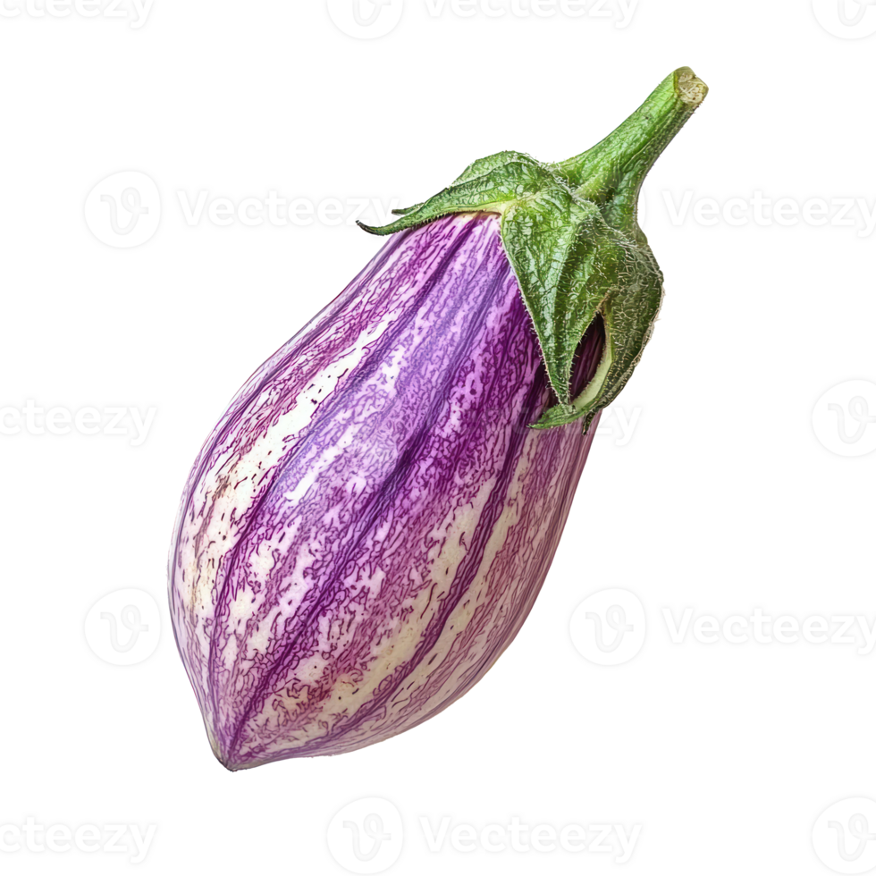 A Eggplant Brinjal vegetable isolate on transparent background png