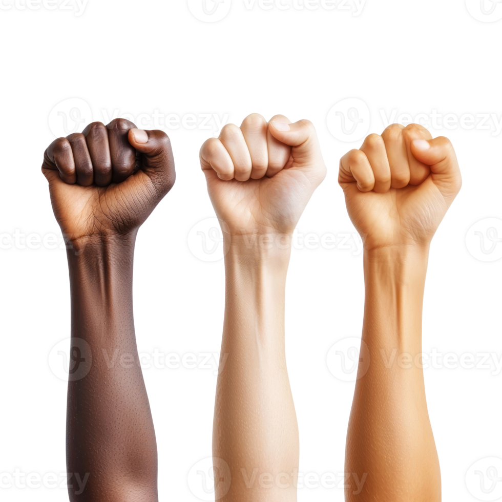 three different colored fists on transparent background png