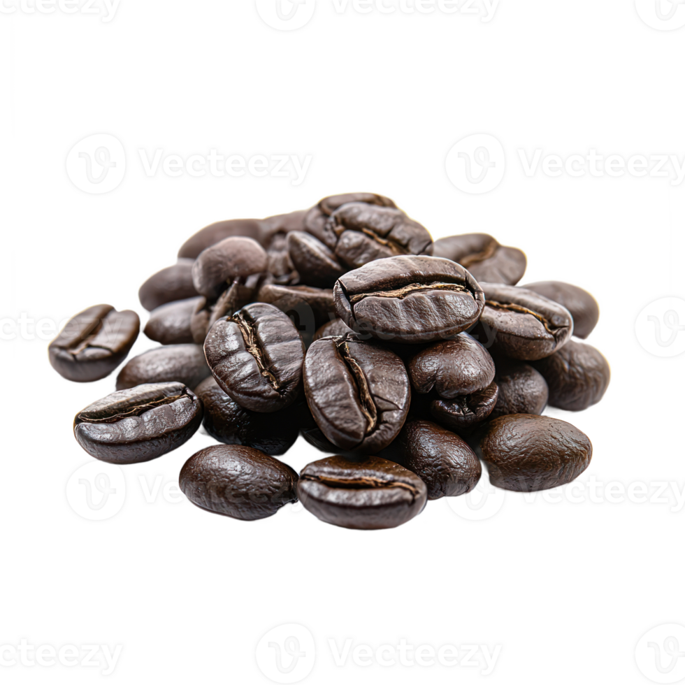 Coffee bin isolate on transparent background png
