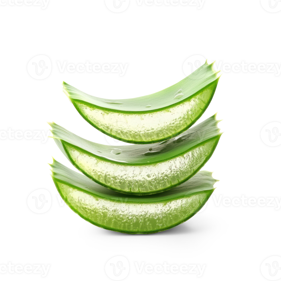 Three Aloe Vera isolate on transparent background png