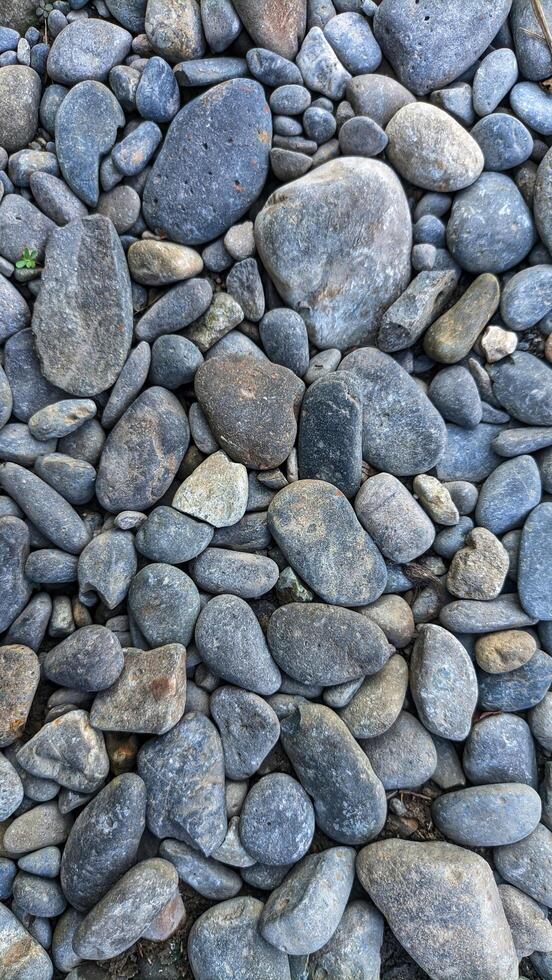 Full frame image of many gray round gravels arranged in compact order. photo