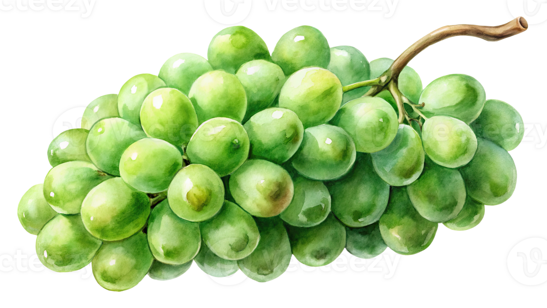 Bunch of green grapes with a fresh, juicy appearance isolated with transparent background. png