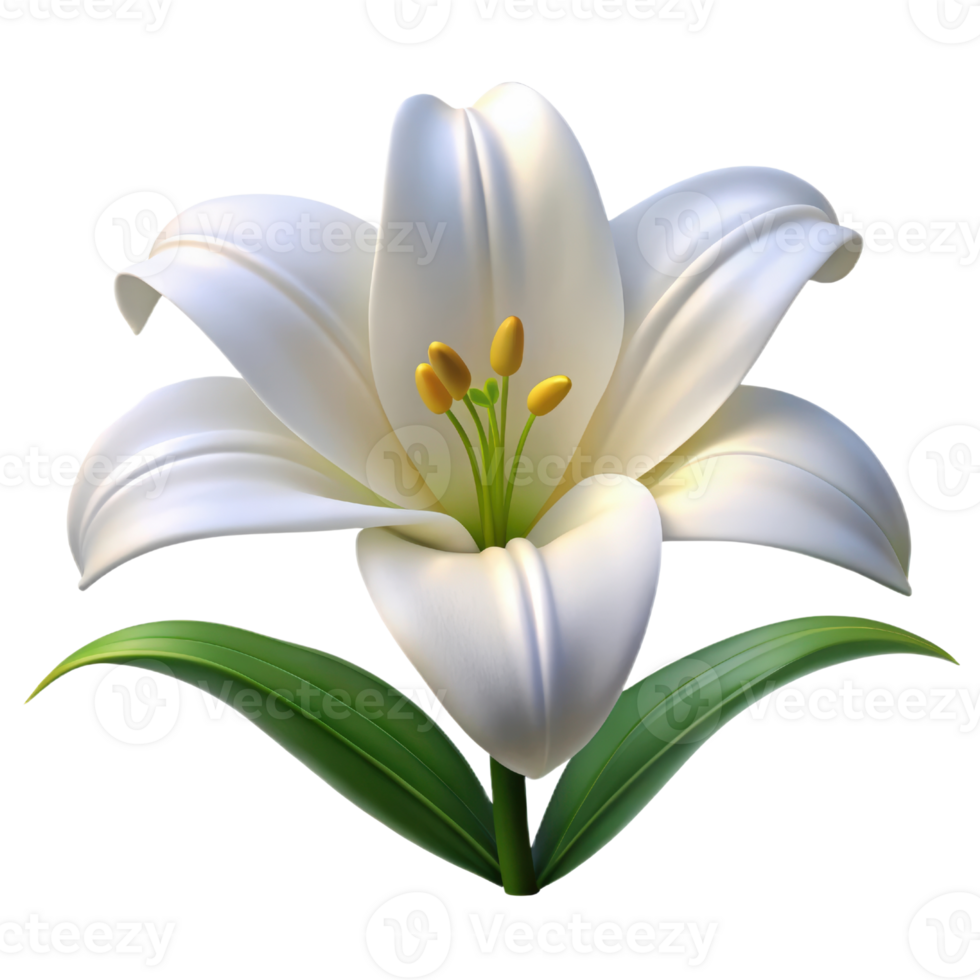 White lily flower 3d render isolated on transparent png