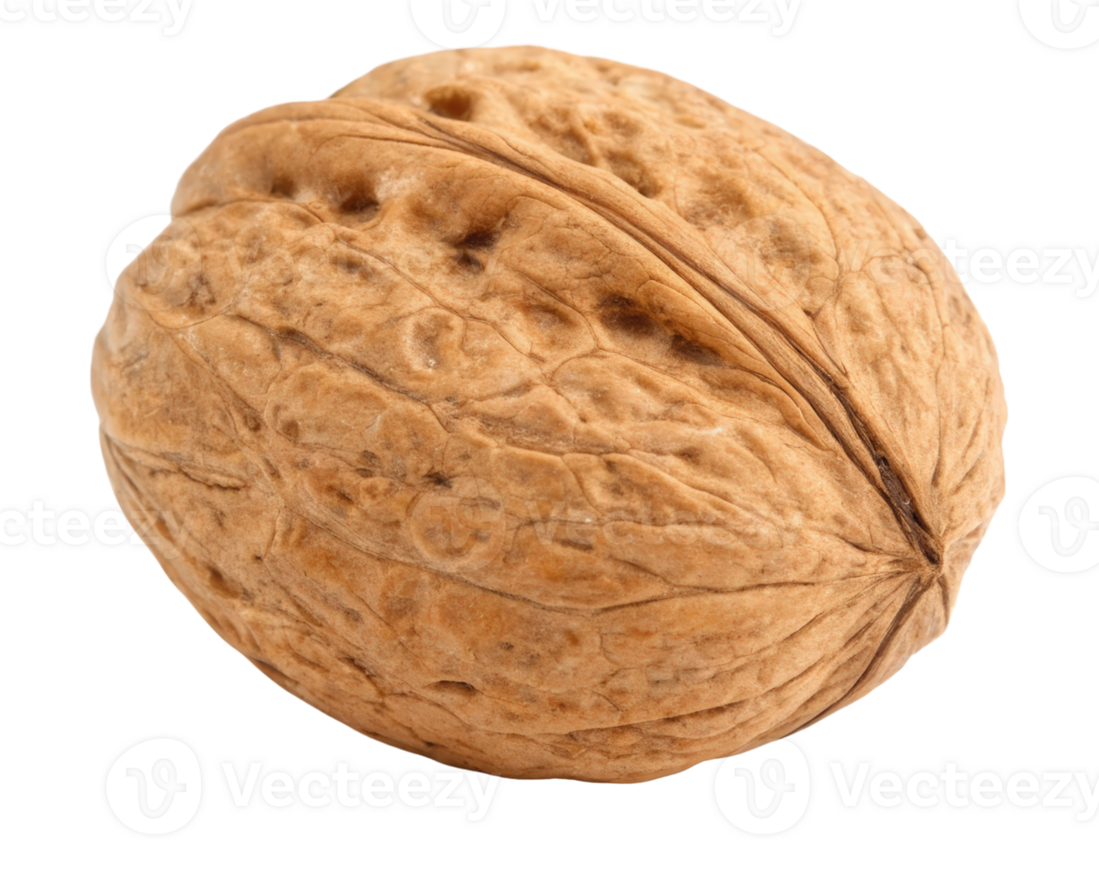 Single walnut on a transparent background png