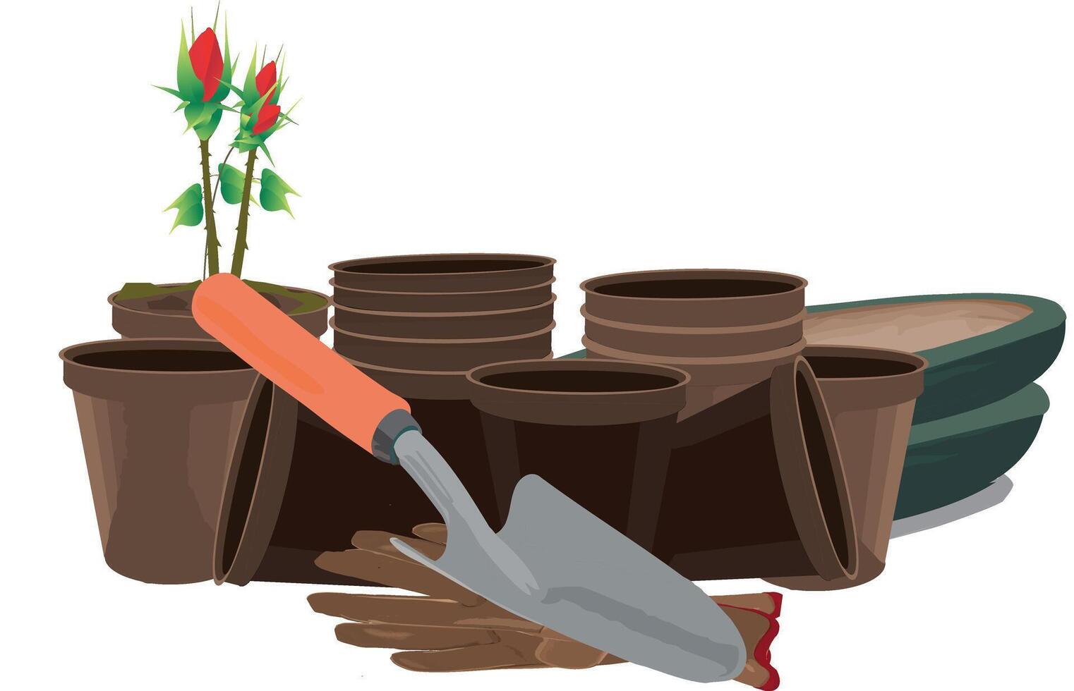 Gardening tools and plants vector