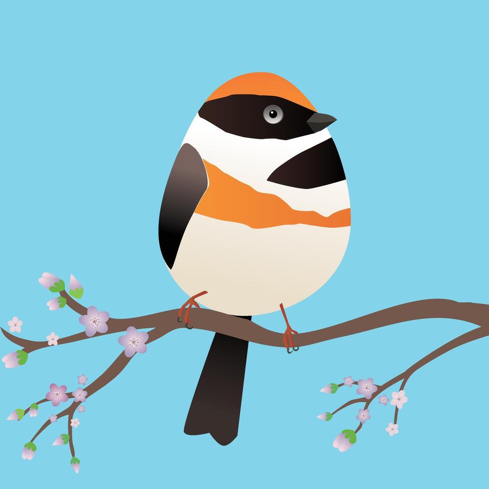 A very cute black throated bushtit bird in the shape of an egg. vector