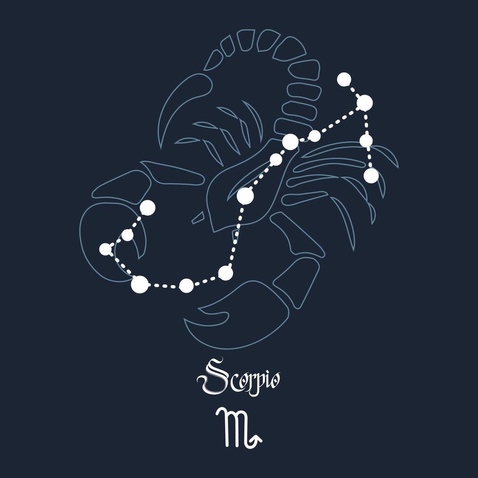 Scorpio, constellation and zodiac sign on the background of the cosmic universe. Blue and white design. Illustration vector