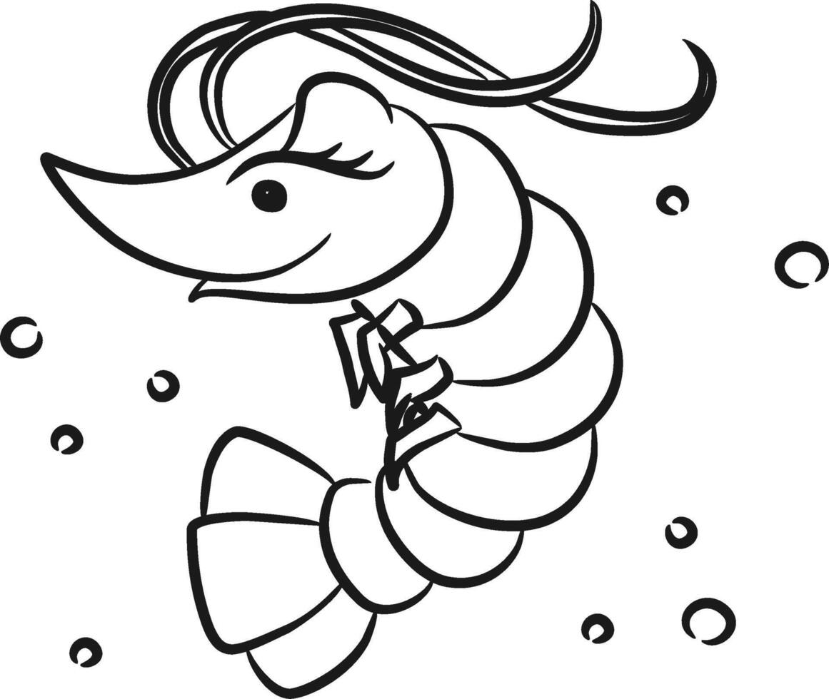 Shrimp coloring pages vector