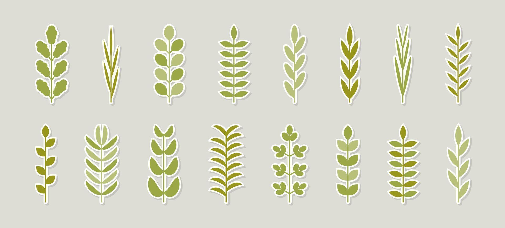 Leaves branch green sticker set. Collection of spring colorful elements . Foliage from simple geometric shapes. Minimalist decor for holiday print banner poster. vector