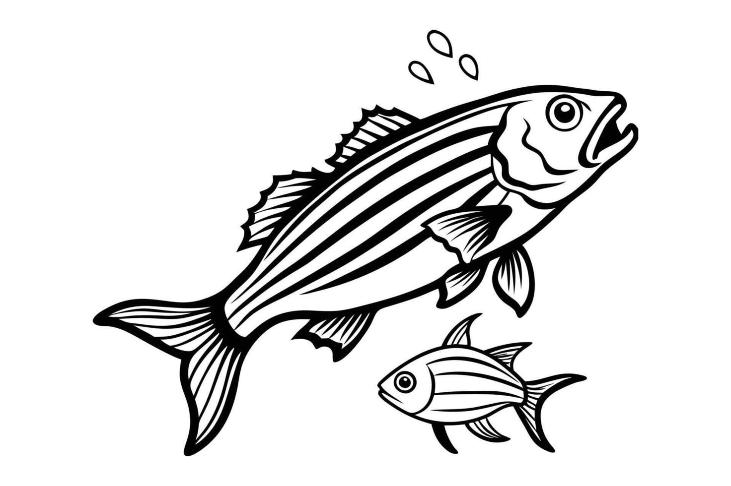 Striped Bass A powerful saltwater and freshwater game fish free vector