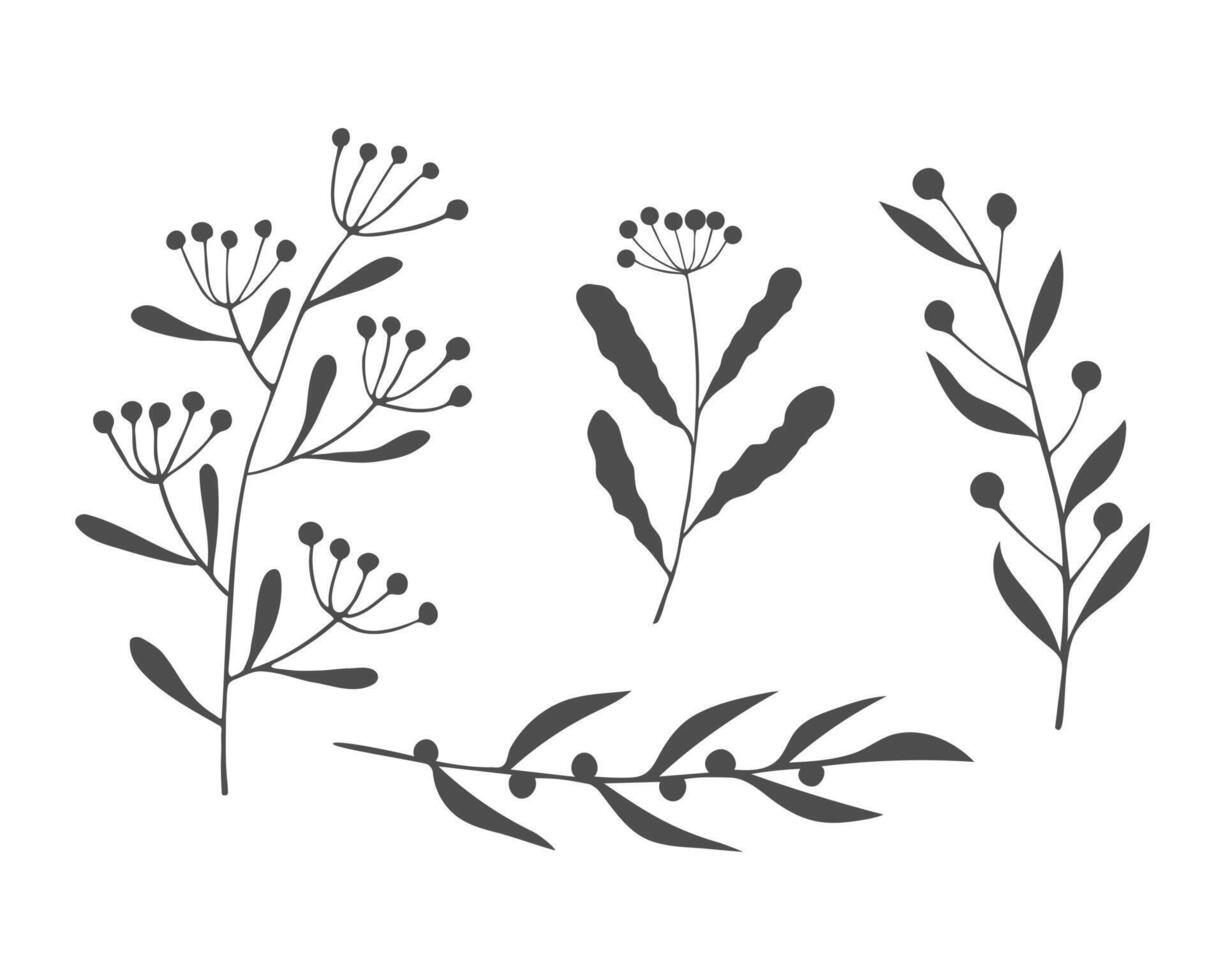 Collection of twigs and sprigs summer meadow. Hand drawn silhouette plants vector