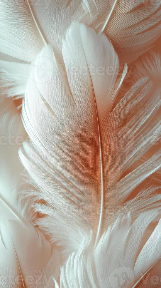 Soft white feathers layered on a gentle pastel background create a calming and elegant aesthetic photo