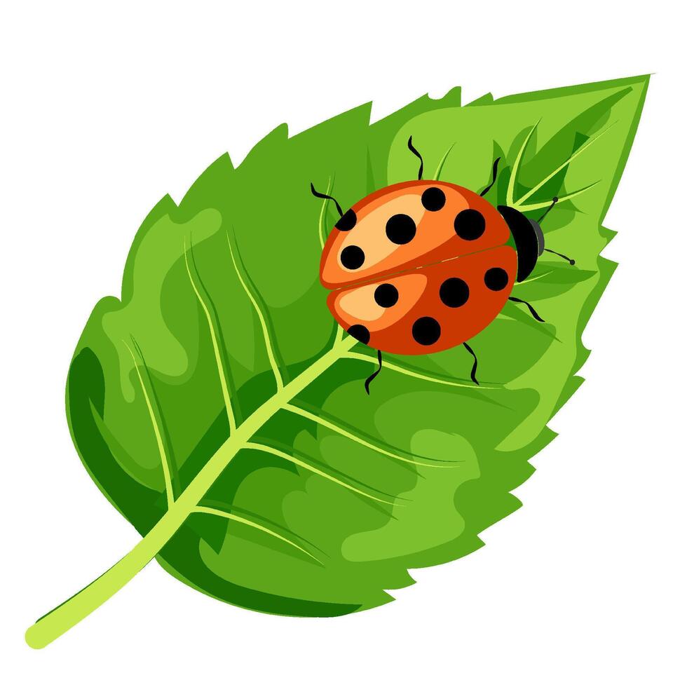 Ladybug rests on a vibrant green leaf in a natural setting showcasing a peaceful outdoor moment vector