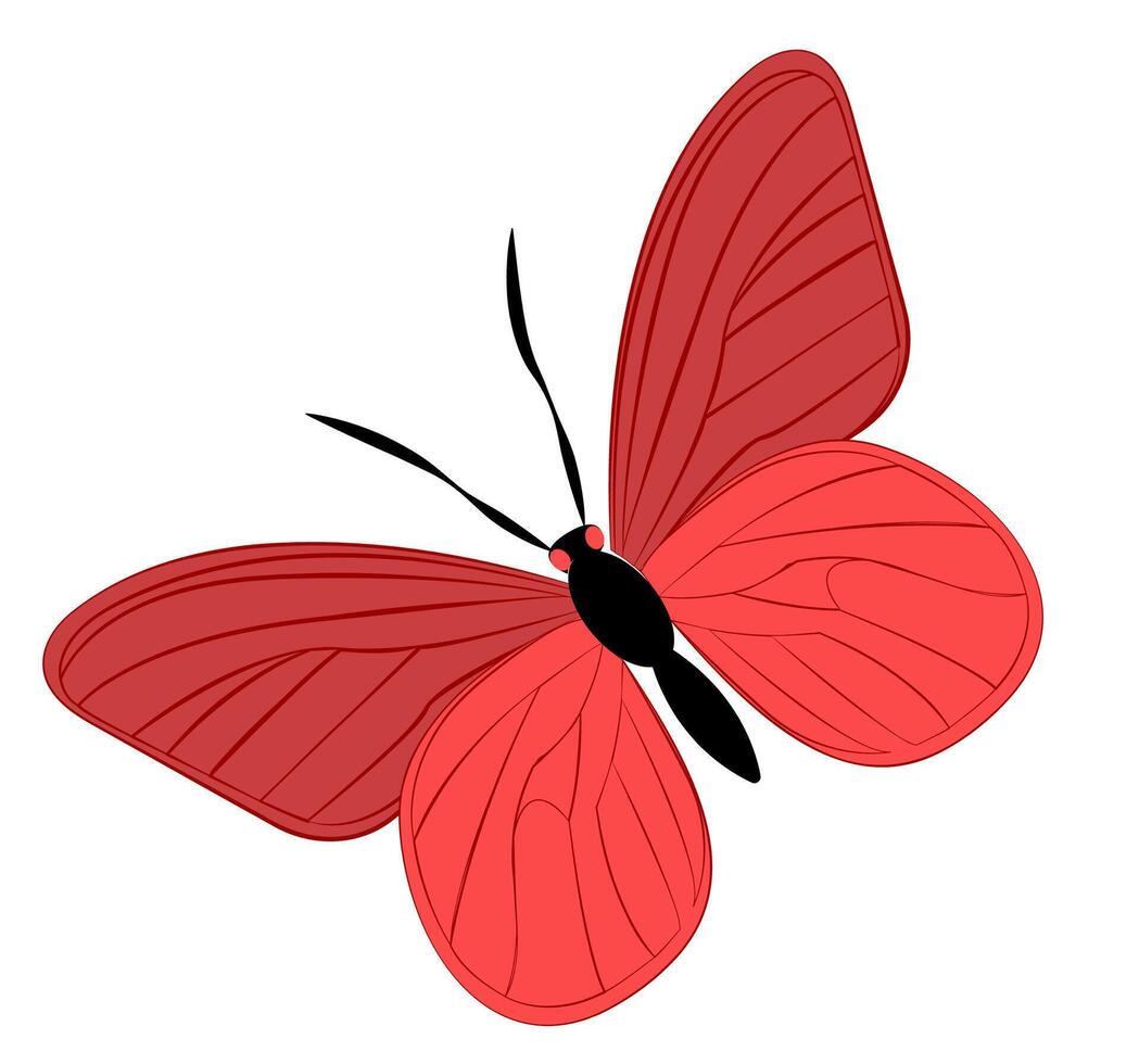 Illustration of a vibrant red butterfly with detailed wings and elegant antennae in a minimalist design vector