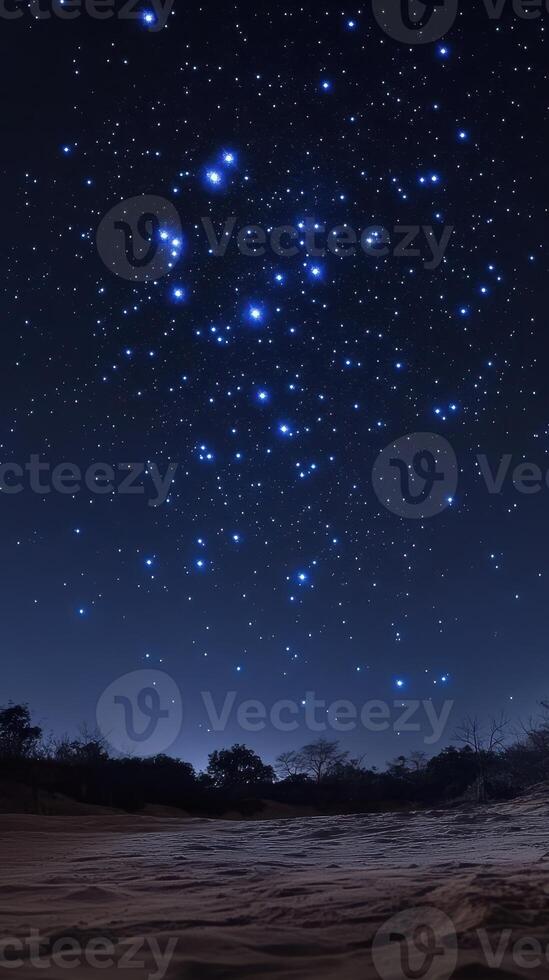 Stars fill the night sky above a serene landscape in a remote area photo