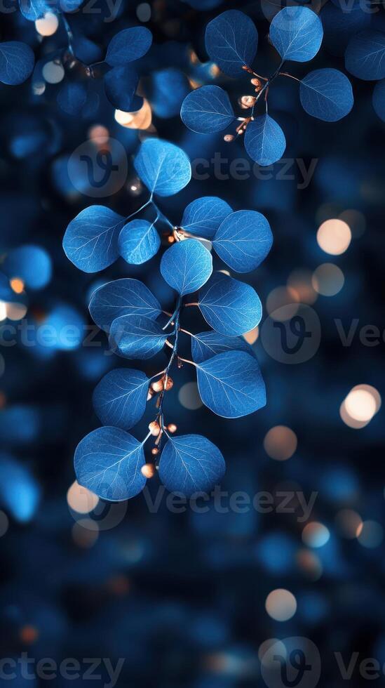 Bright blue leaves illuminated with soft lights during an evening in a lush garden photo