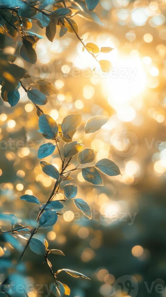 Sunlight filters through green leaves creating a serene and warm atmosphere in a natural setting photo