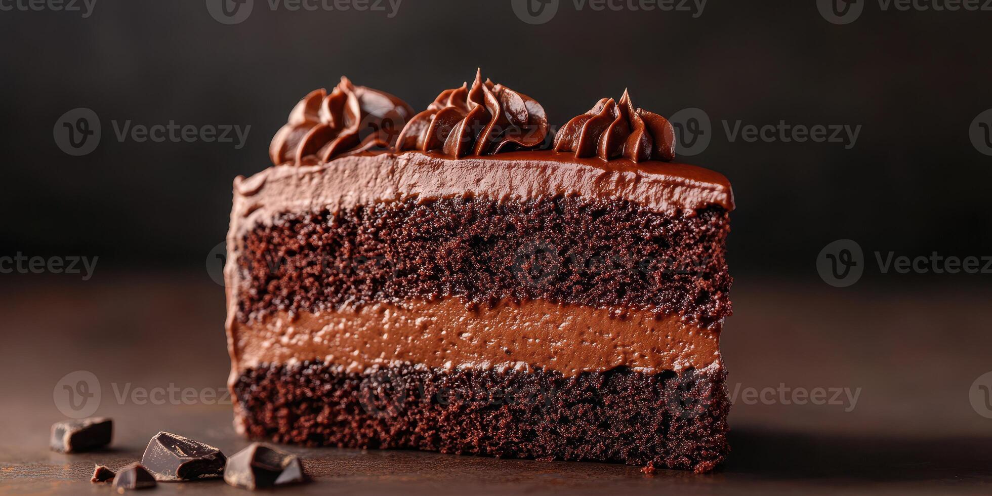 Deliciously rich chocolate cake slice with creamy frosting and dark chocolate pieces on display photo