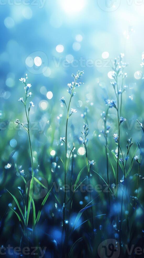 Delicate wildflowers swaying gently in the sunlight amidst sparkling dew in a serene meadow photo