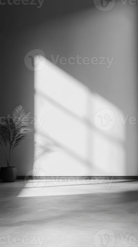 Natural sunlight streams through a window, casting shadows on a minimalist interior space with a plant photo