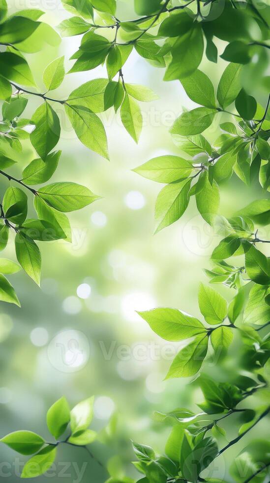 Vibrant green leaves forming a natural canopy in a serene forest during daylight photo