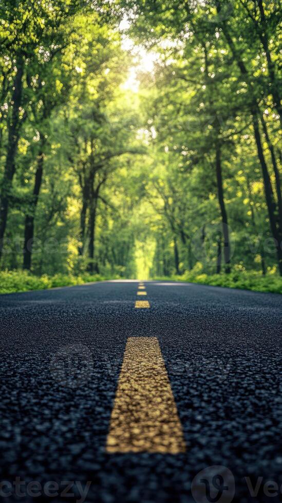 Sunlight filters through trees lining an empty forest road leading to a tranquil path ahead photo