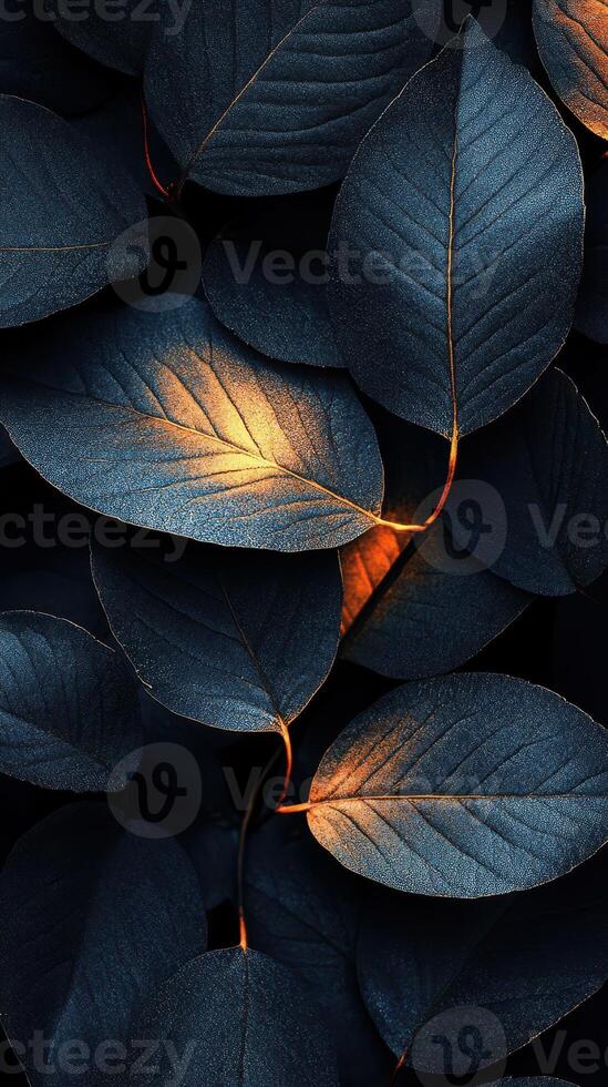 Dark foliage with warm highlights showcasing intricate leaf textures in a mysterious atmosphere photo