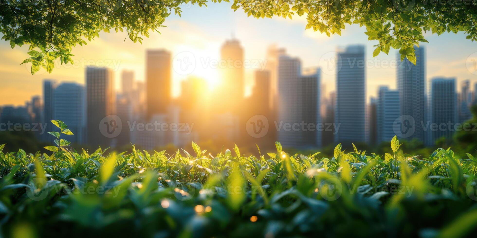 Sunrise over the skyline with green foliage in the foreground and a vibrant cityscape in the background photo