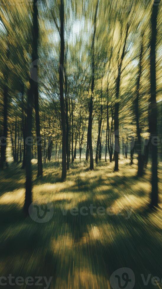 Motion blur through a vibrant forest during a sunny day with golden foliage and tall trees surrounding the path photo