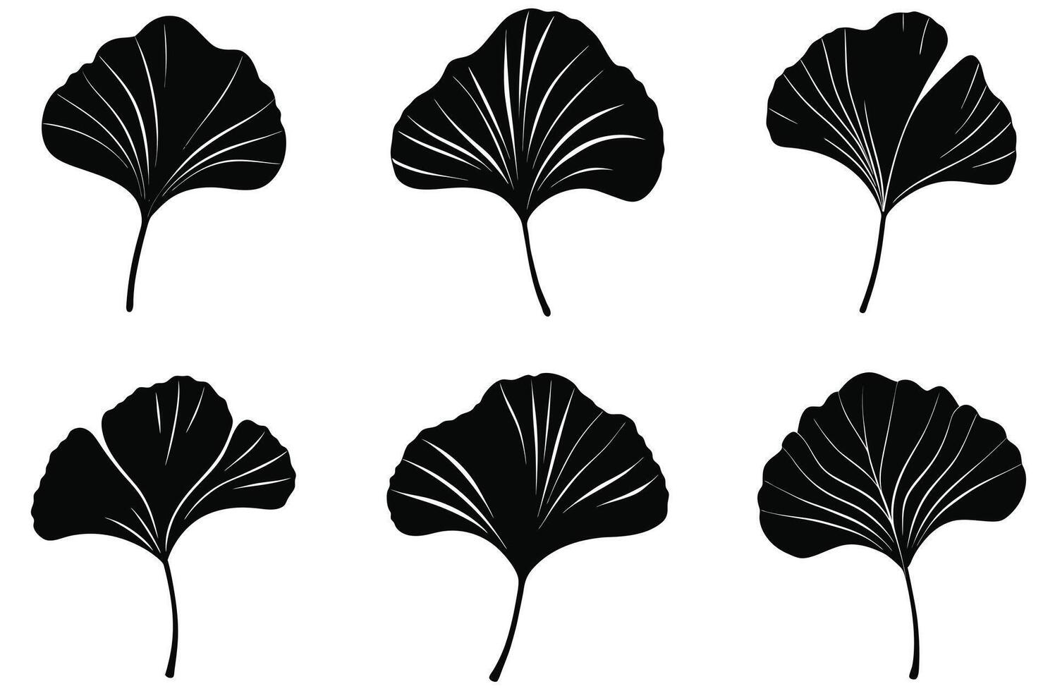 Collection of Hand-Drawn Ginkgo Leaf Silhouettes vector