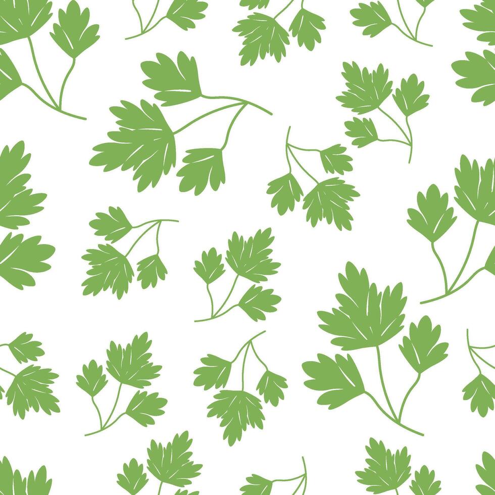 Seamless pattern green leaves parsley vector