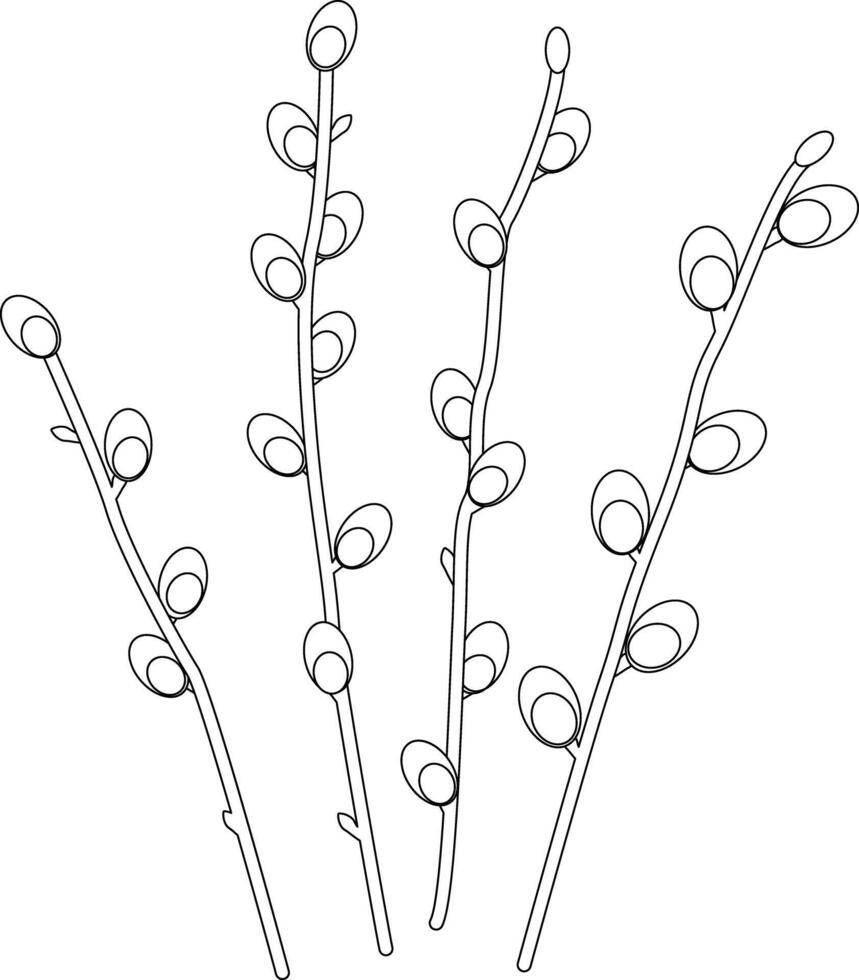 Outline image of spring willow twigs. vector