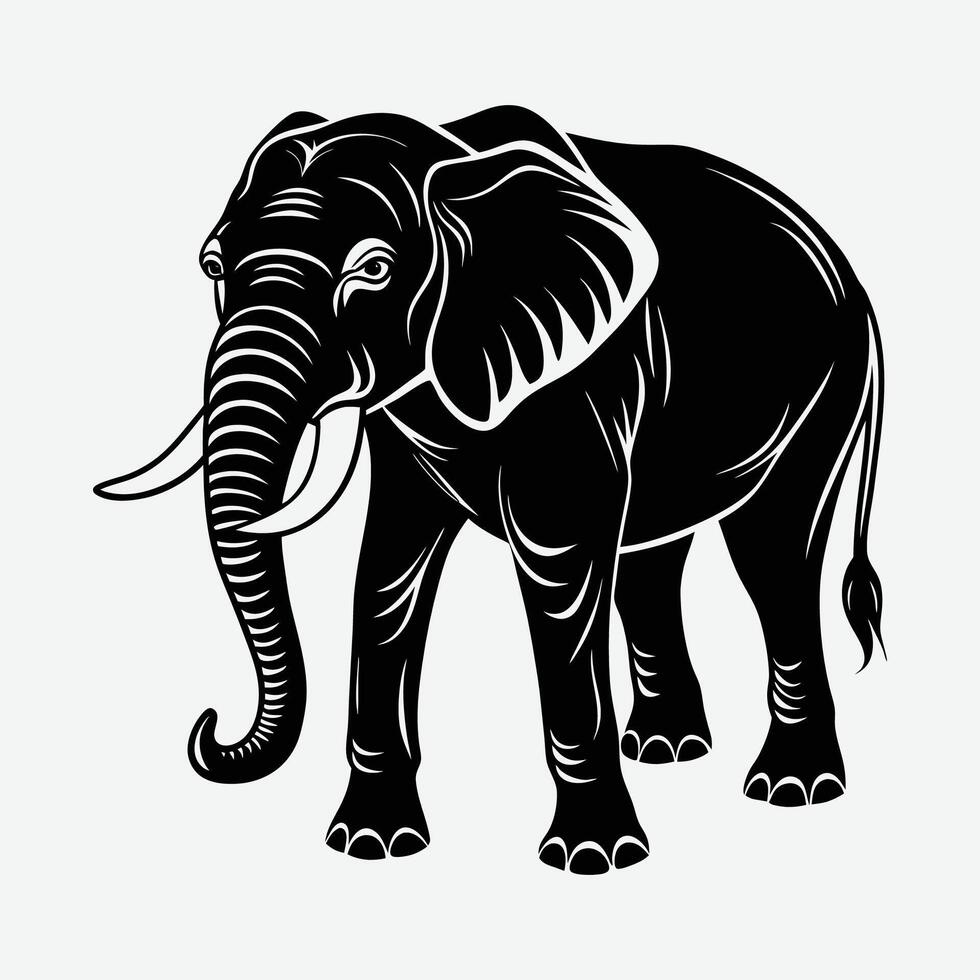 an elephant is standing in front of a white background vector
