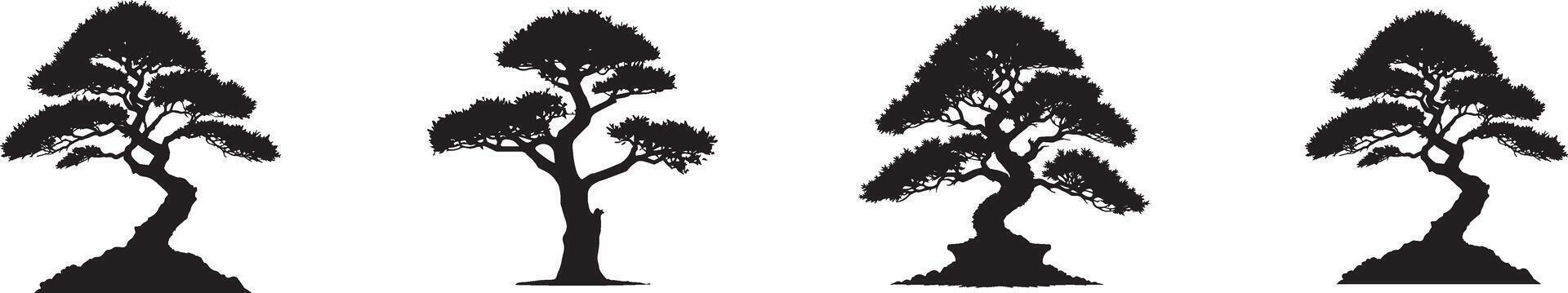 Bonsai black tree silhouette, isolated on white background vector