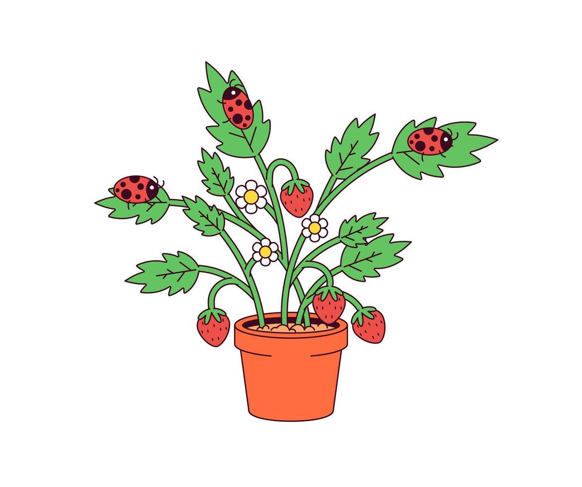 Strawberry plant on a pot and surrounded with ladybugs illustration vector