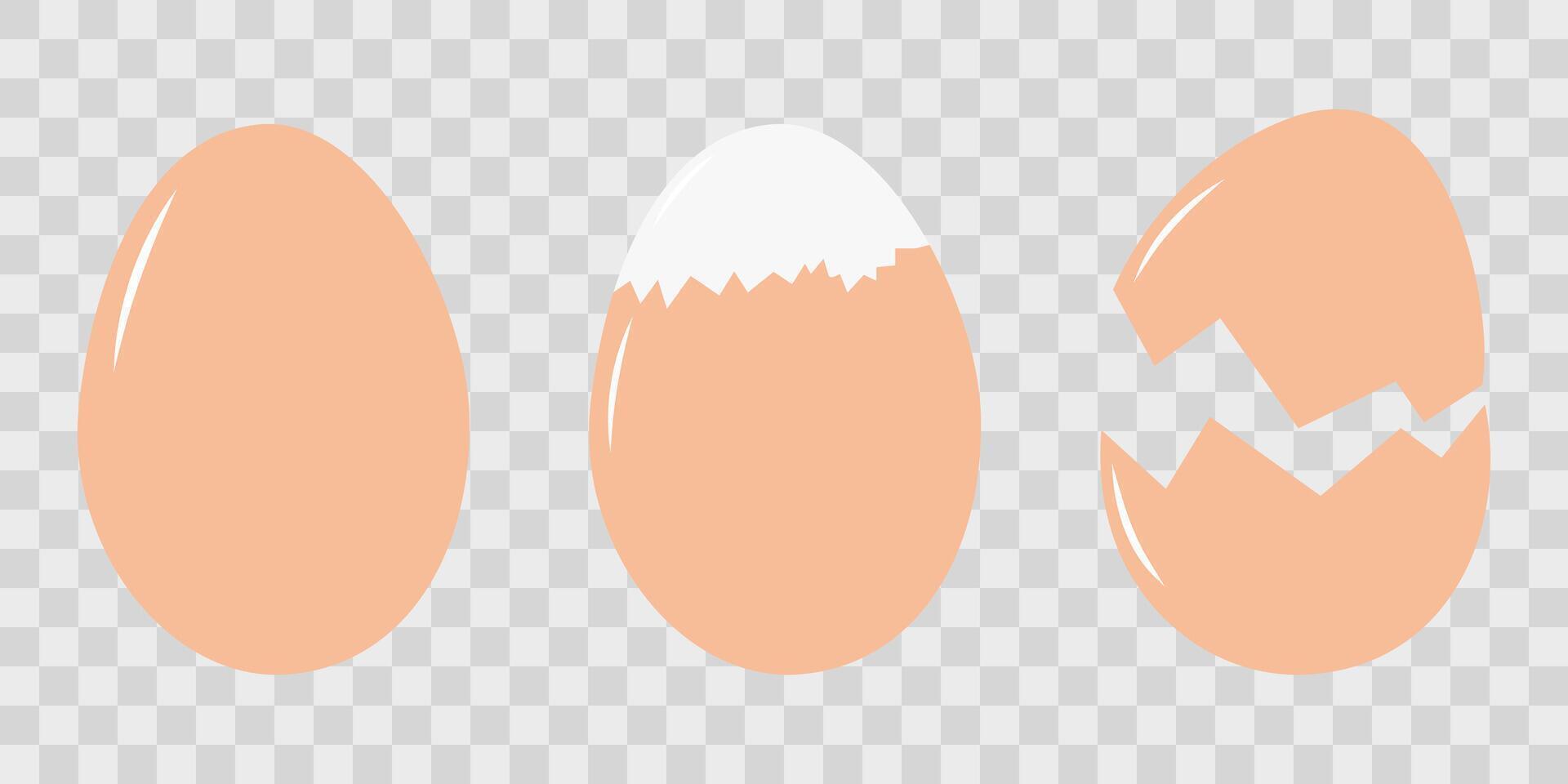 Whole egg, partially peeled boiled egg and eggshell Menu or recipe cards design element idea Set 3. Isolated illustration Thematic cards or web promo banner, leaflets, print materials or tags vector
