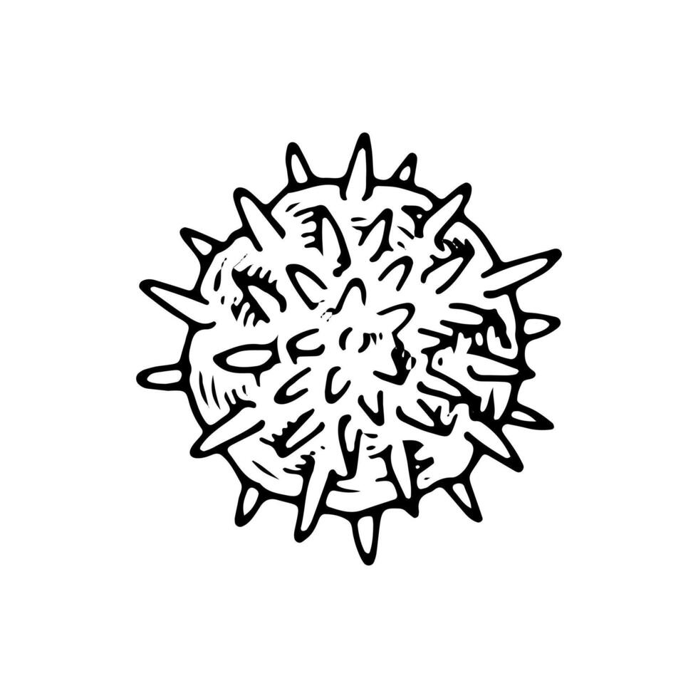 illustration of the Herpes virus in black and white. Hand drawn isolated object of viral cell, for medical, microbiology, and healthcare designs related to infection and disease prevention vector