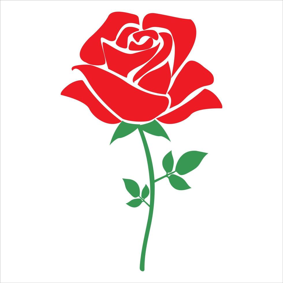 Red rose Illustration on white background vector