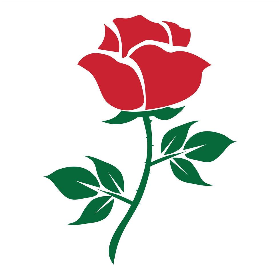 red rose design illustration vector