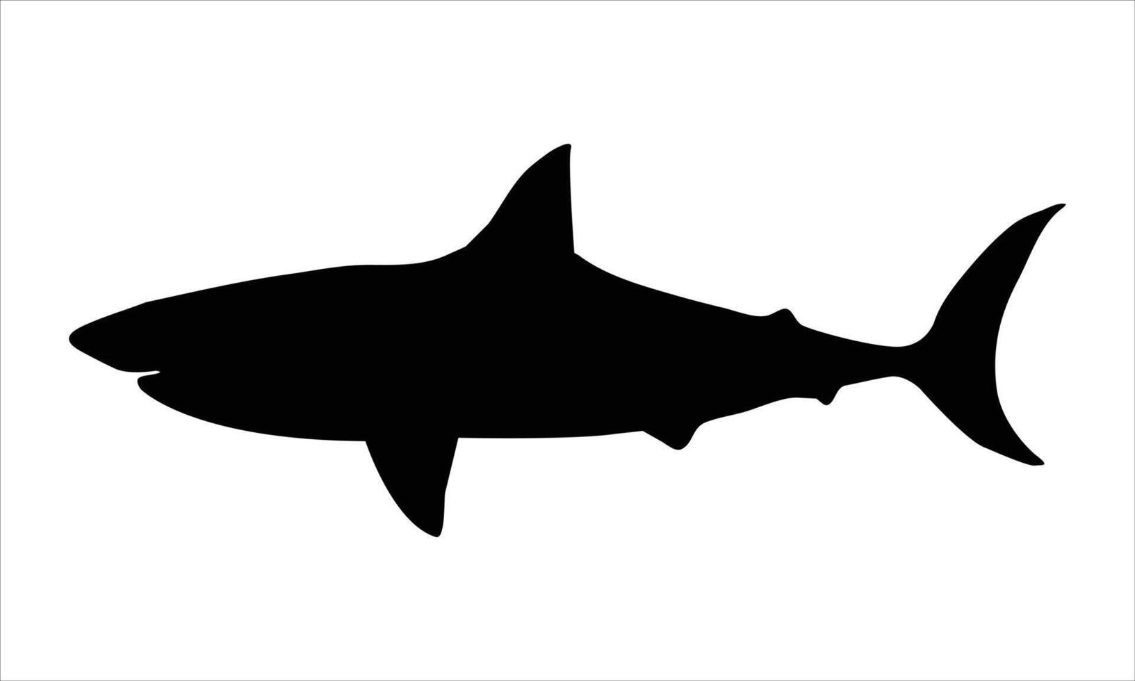 Shark silhouette flat illustration on isolated background vector