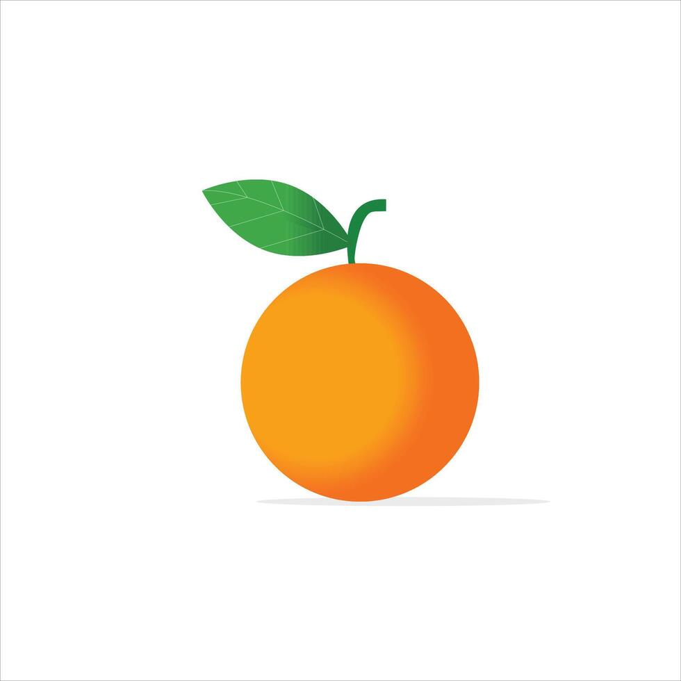 orange Illustration on white background vector