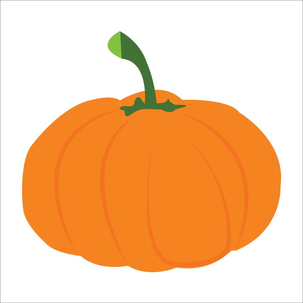 Pumpkin Flat Design Vegetable Icon Illustration vector