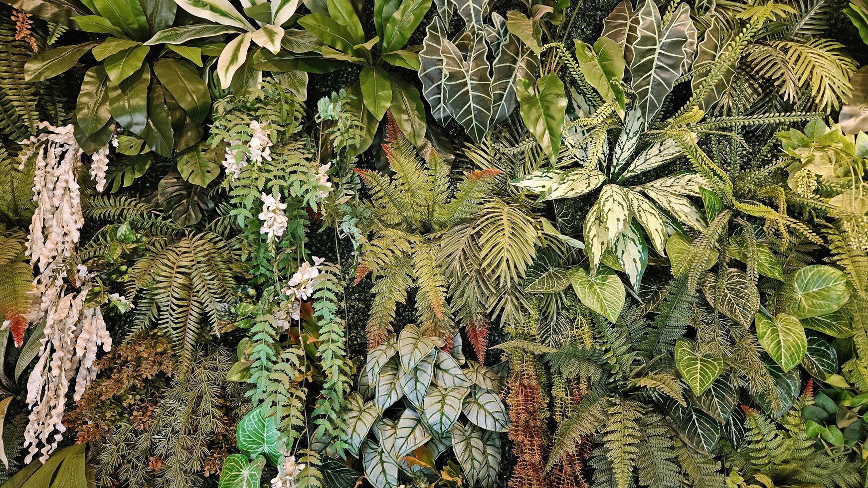 Green creeper plant, fern, orchid, vine or ivy and leaves wall for background photo