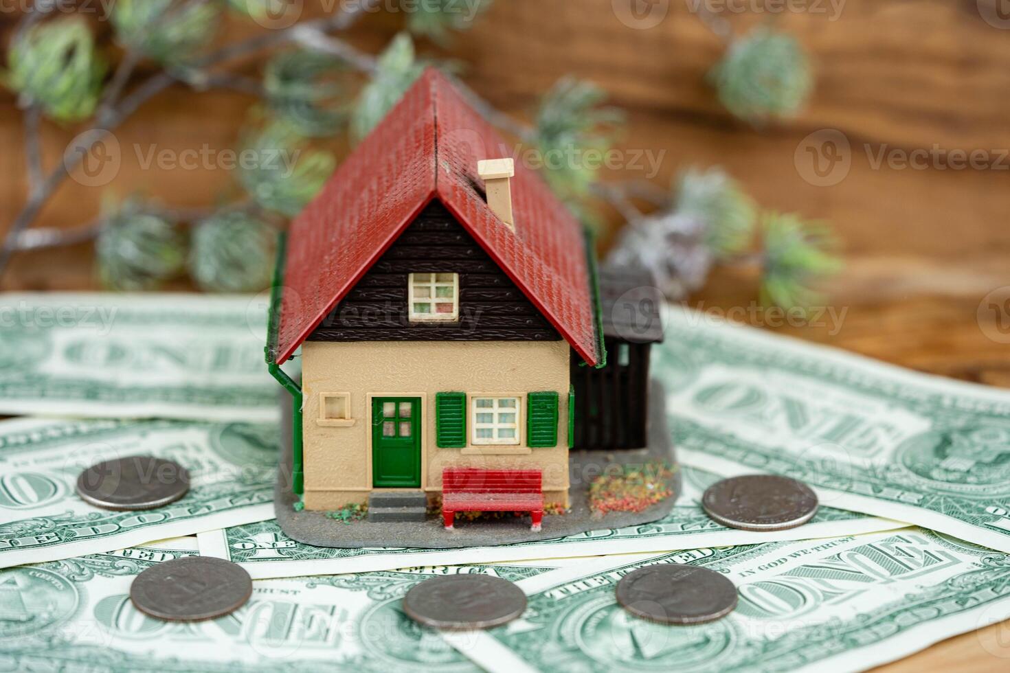 house with some US banknotes photo