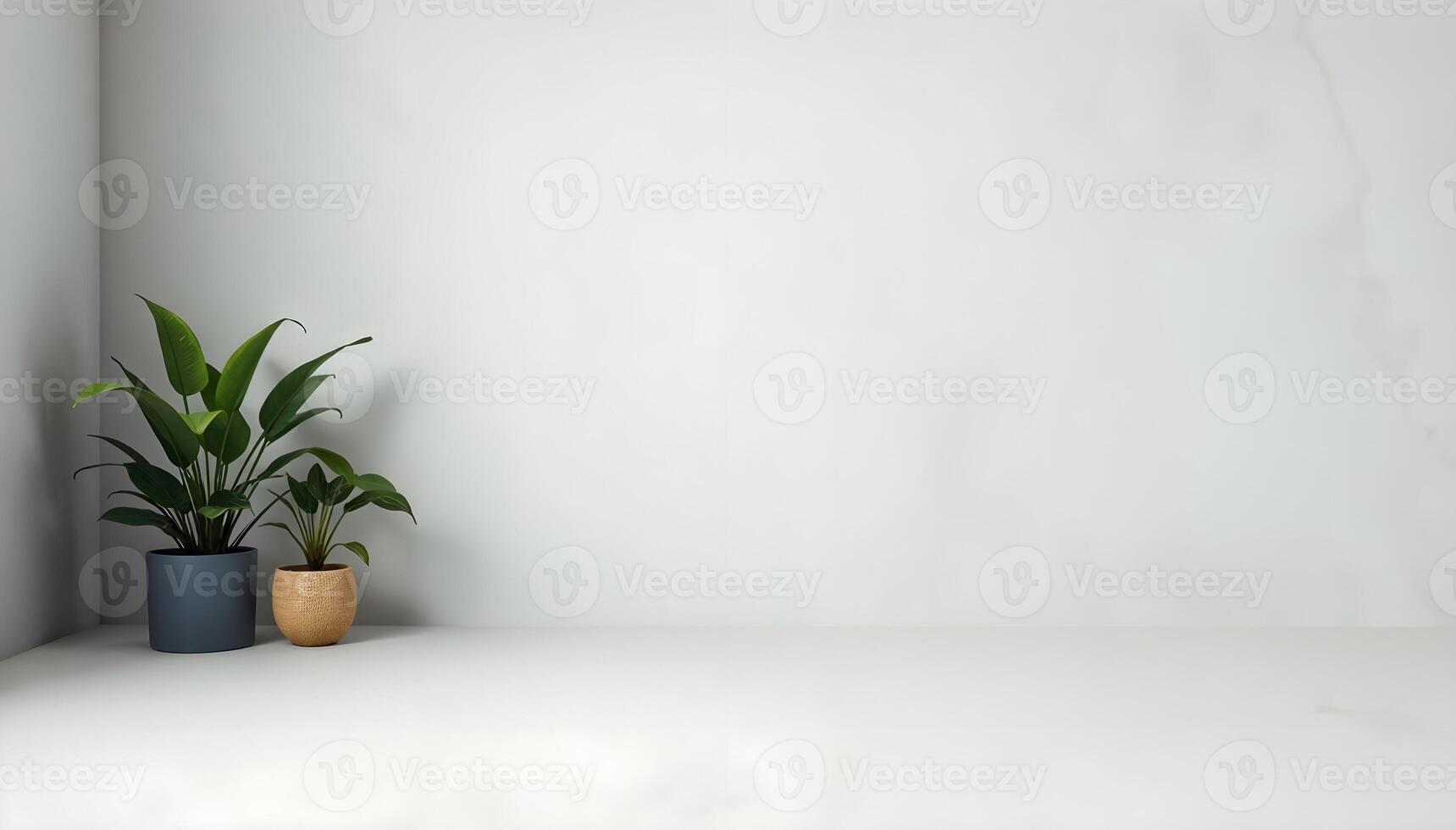 Minimalist Interior for Product Mockup with Green Plant in White Pot photo
