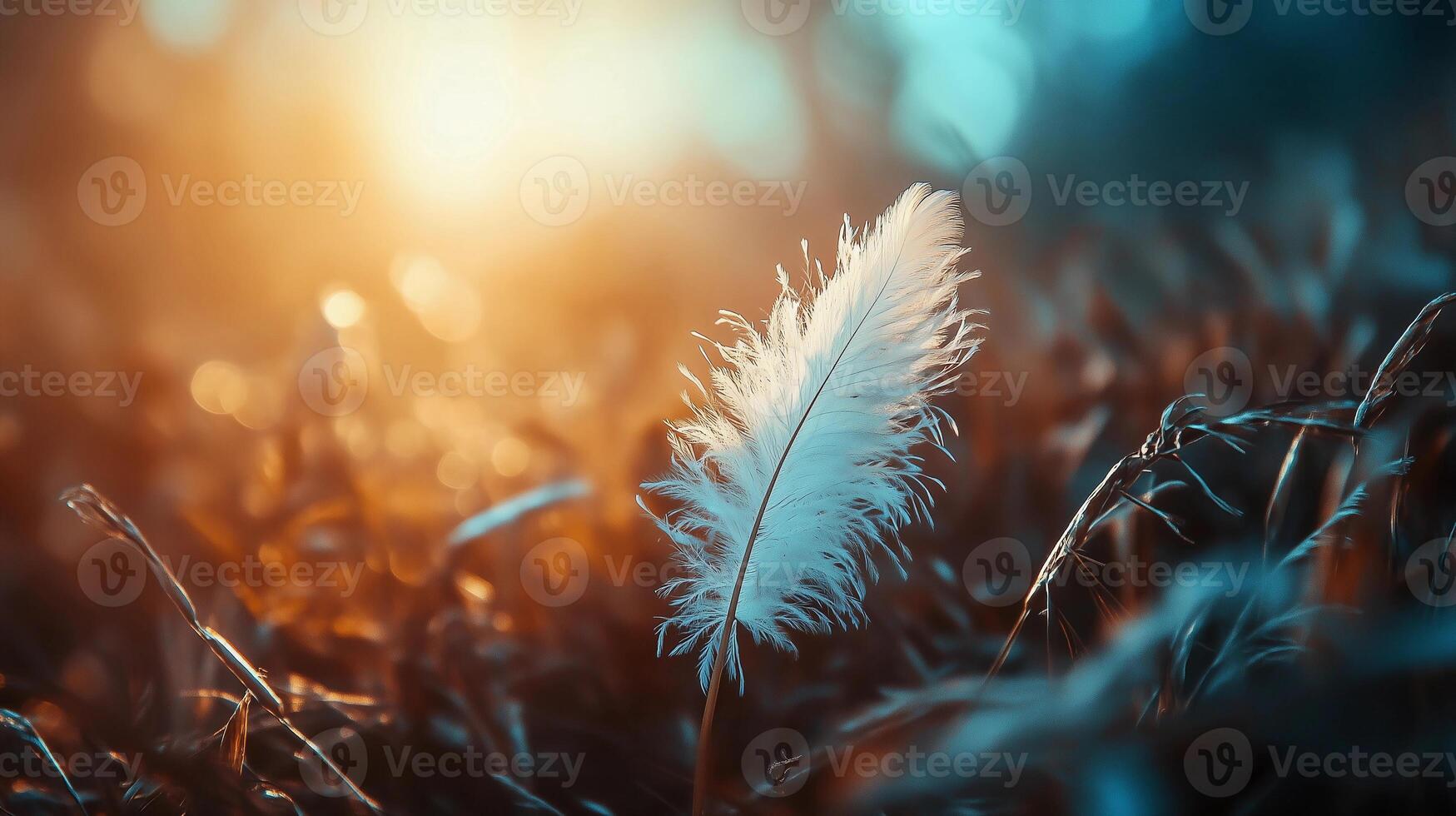 A feather is on a field of grass. The feather is white and the grass is green. The image has a peaceful and calming mood photo