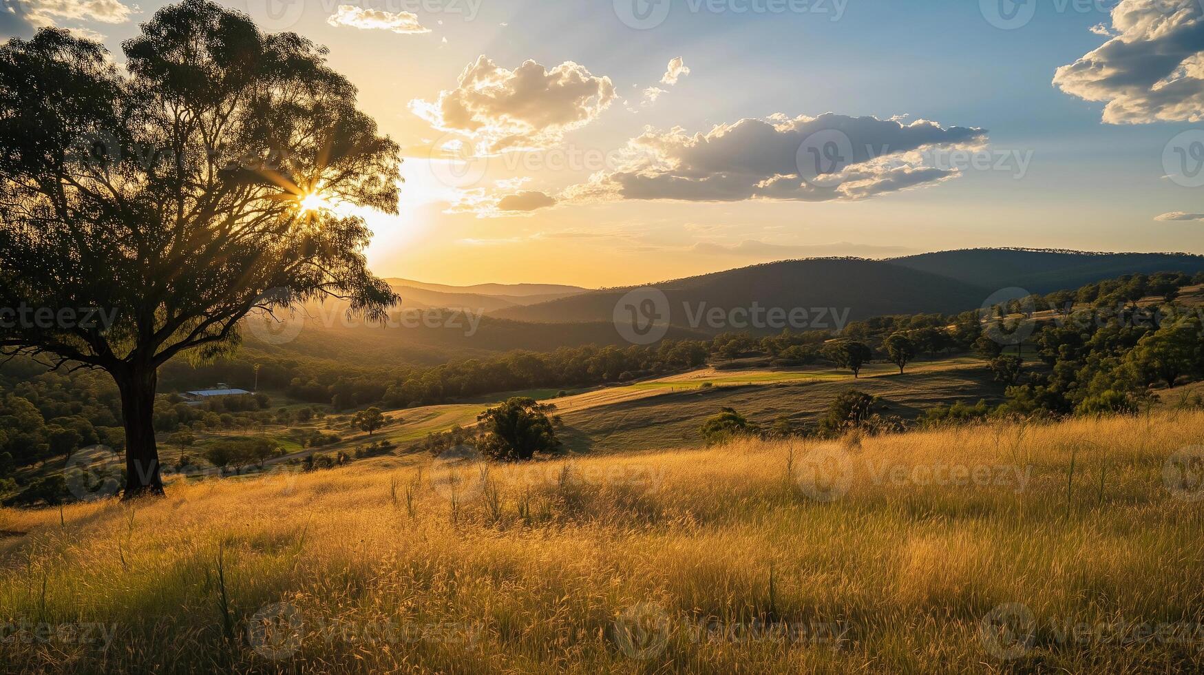 A large tree is in the foreground of a field with a beautiful sunset in the background. The sky is filled with clouds, creating a serene and peaceful atmosphere photo