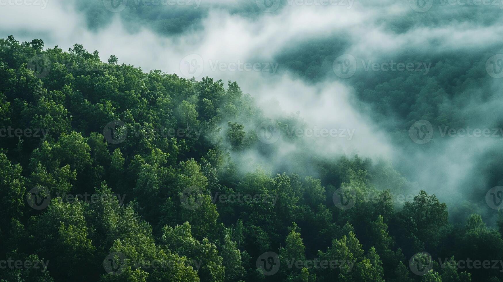 A lush green forest with a thick fog covering the trees. The fog creates a mysterious and serene atmosphere, making the forest appear almost magical. The trees are tall photo