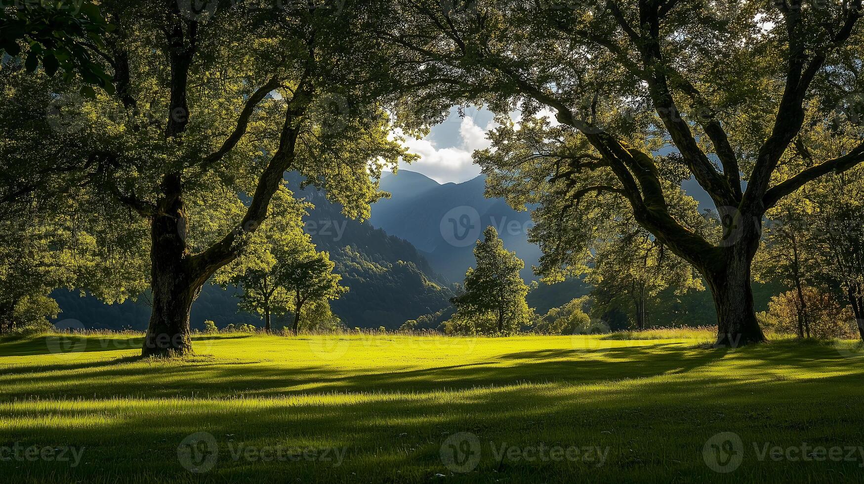 A beautiful, serene scene of a lush green field with two trees in the foreground and a mountain range in the background. The sunlight is shining through the trees photo