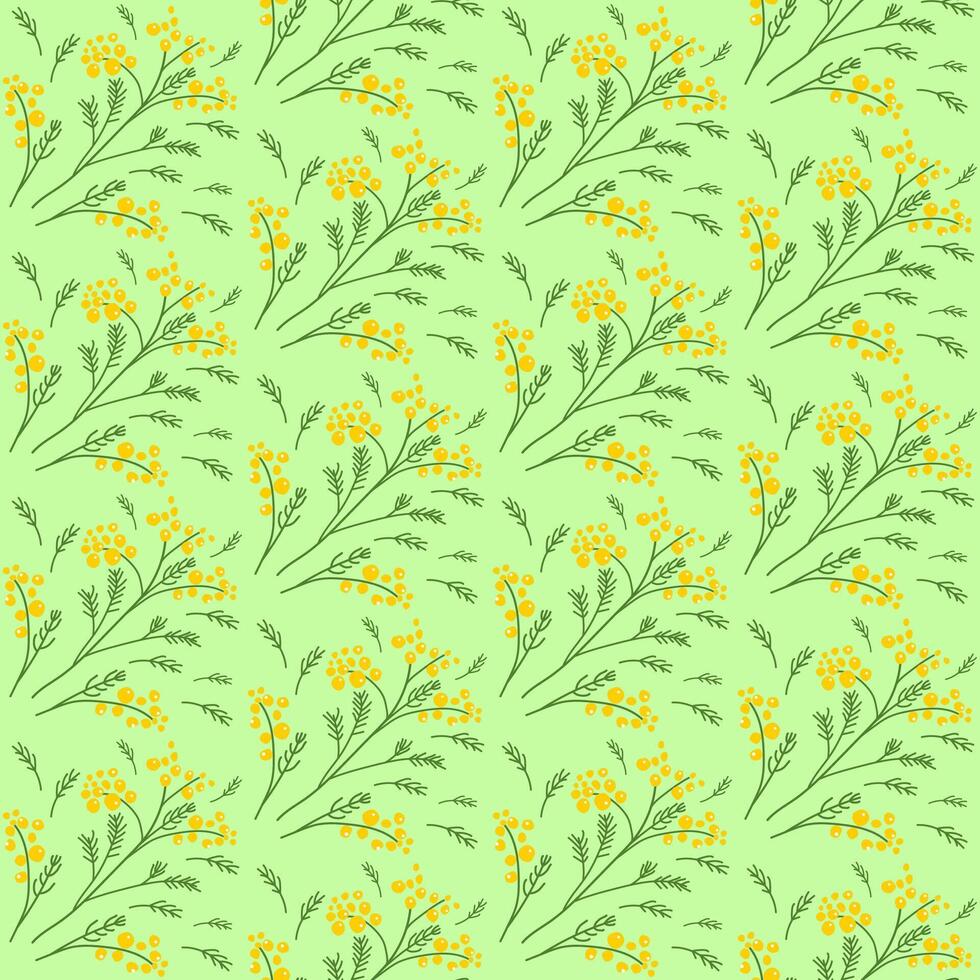 Spring first blooming in a forest and garden tree mimosa with yellow flower, hand drawn seamless pattern. vector